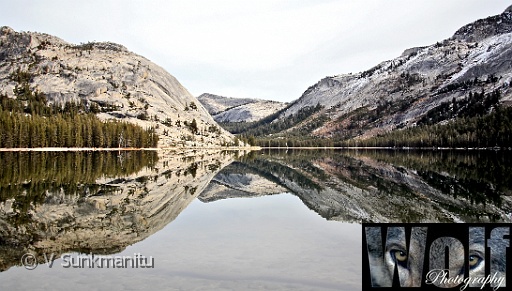 Reflections Yosemite 009 Copyright Villayat Sunkmanitu.jpg